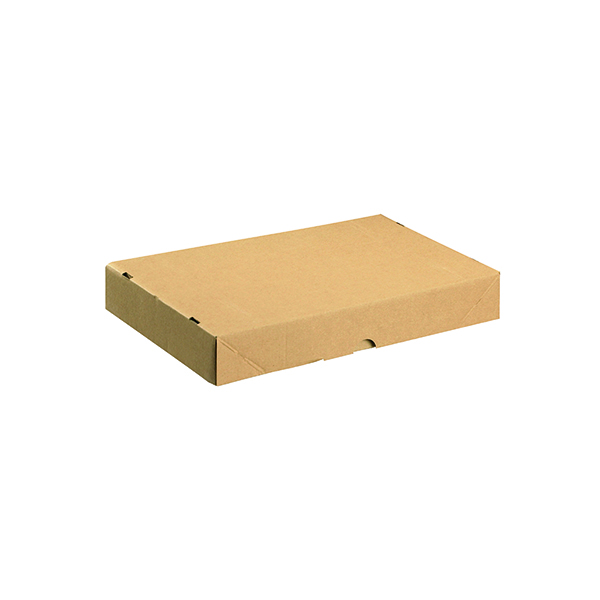 Carton With Lid 305x215x50mm Brown (Pack of 10) 144666114