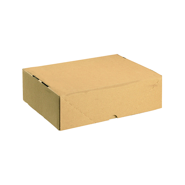 Carton with Lid 305x215x100mm Brown (Pack of 10) 144667114