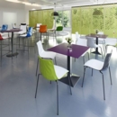 Gecko shell dining stacking chair with chrome legs - anthracite