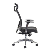 Gemini mesh task chair with adjustable arms and headrest - black