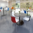 Gecko shell dining stool with chrome legs - red