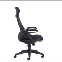 Tuscan mesh high back chair with head support - black