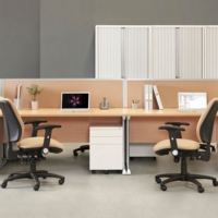 Vivo straight desk 1000mm x 600mm - silver frame and beech top