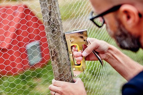 Rapid 13/6mm Galvanised Staples (Pack 5000) 11830700