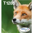 Epson T128 Multipack 4 colours EasyMail