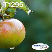 SX420W/425W/525WD Multi Pk Mailer