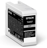Epson T46S6 Grey Pro10 Ink Cartridge 25ml - C13T46S700
