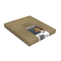 Epson T1306 Multipack 3 Col Ink EasyMail