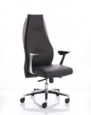 Mien Black and Mink Executive Chair EX000183