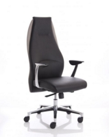 Mien Black and Mink Executive Chair EX000183