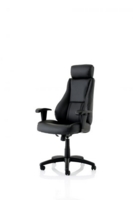 Winsor Black Leather Chair With Headrest EX000213